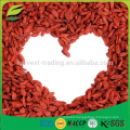 EU standard high quality dried goji berries